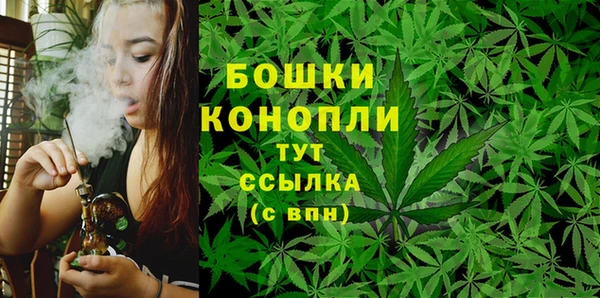 каннабис Корсаков