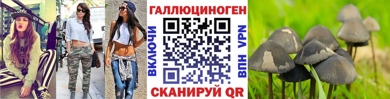 Галлюциногенные грибы прущие грибы  Кондрово 